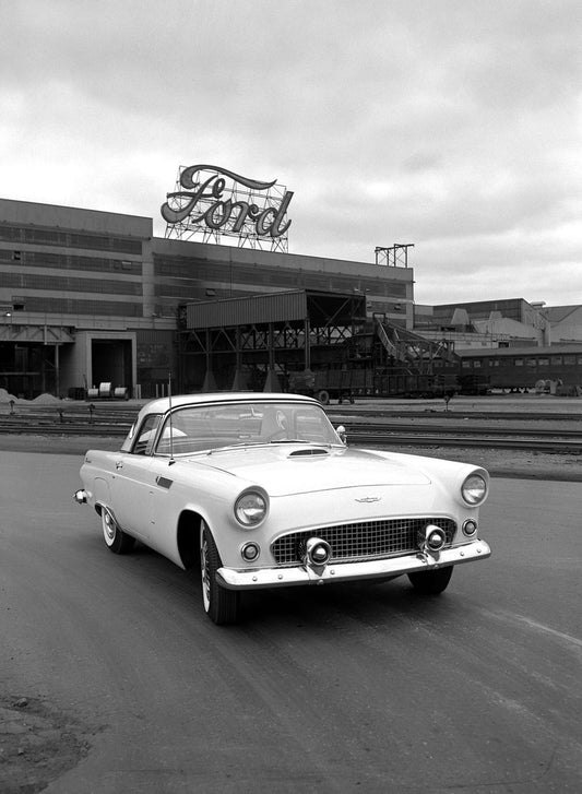 1956 Ford Thunderbird 0400-8412