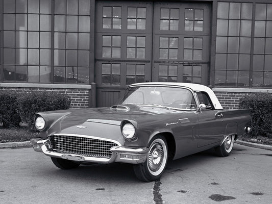 1957 Ford Thunderbird 0400-8433