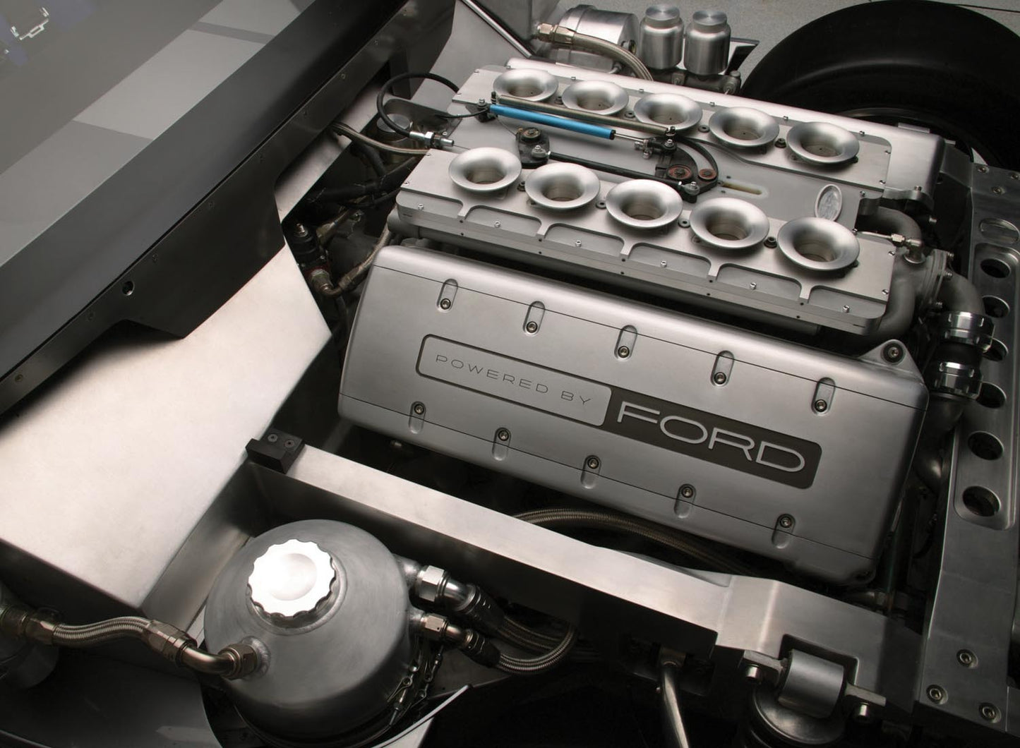 2004 Ford Shelby Cobra  0401-0491