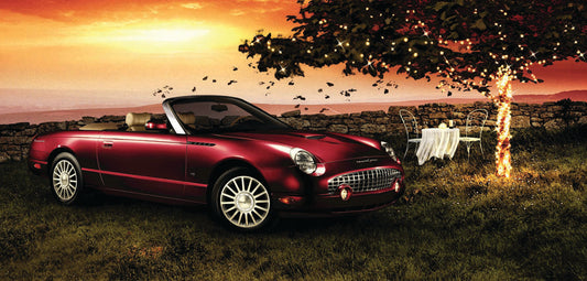 2005 Ford Thunderbird  0401-0542