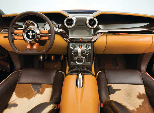 2006 Ford Mustang Giugiaro concept car interior  0401-0567