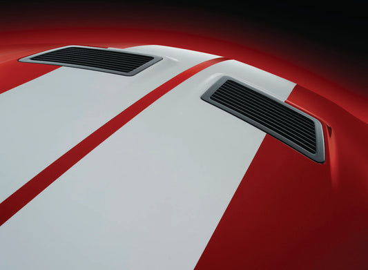 2007 Ford Mustang Shelby GT500 hood  0401-0622