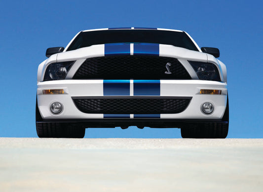 2007 Ford Mustang Shelby GT500  0401-0637