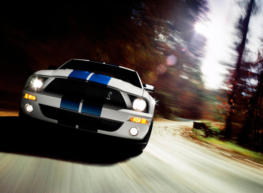 2007 Ford Mustang Shelby GT500  0401-0638