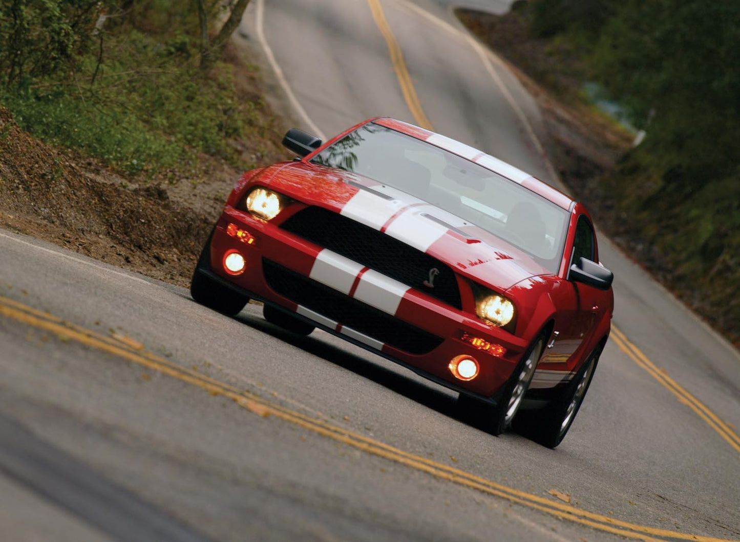2007 Ford Mustang Shelby GT500  0401-0643