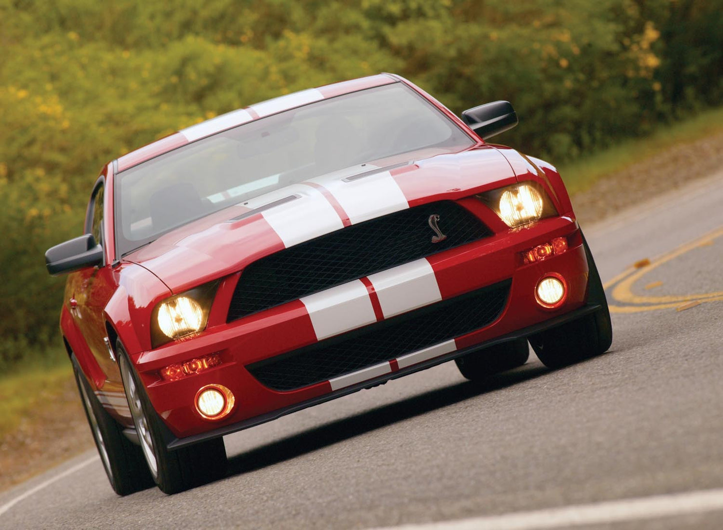 2007 Ford Mustang Shelby GT500  0401-0644