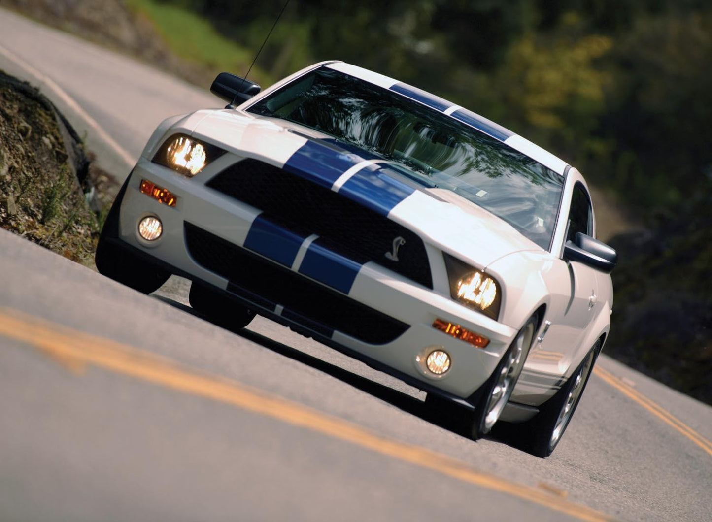 2007 Ford Mustang Shelby GT500  0401-0646