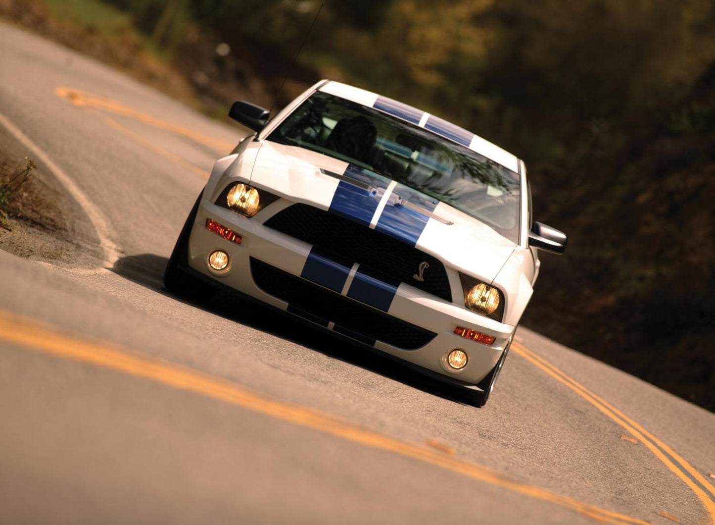2007 Ford Mustang Shelby GT500  0401-0648