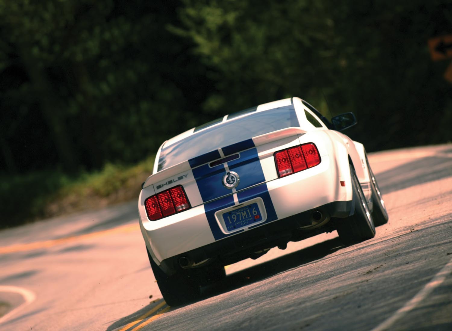2007 Ford Mustang Shelby GT500  0401-0649