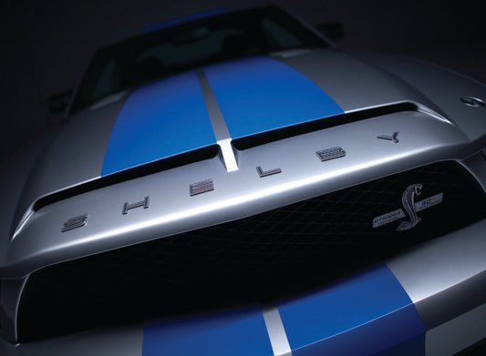 2008 Ford Shelby GT500KR grille  0401-0671