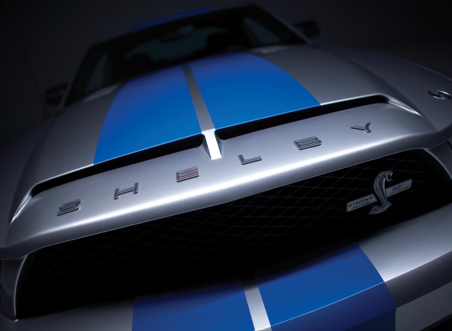 2008 Ford Shelby GT500KR grille  0401-0671