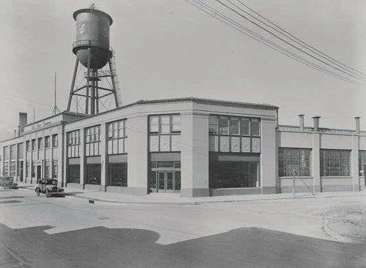 1931 Montevideo Plant Uruguay  0401-0743