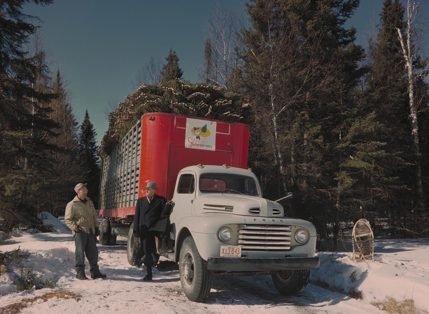 1949 Ford F 8 truck  0401-1143