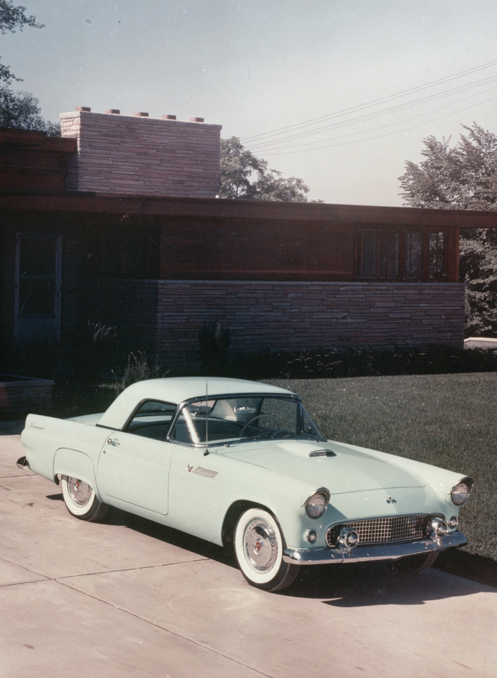 1955 Ford Thunderbird 0401-1667