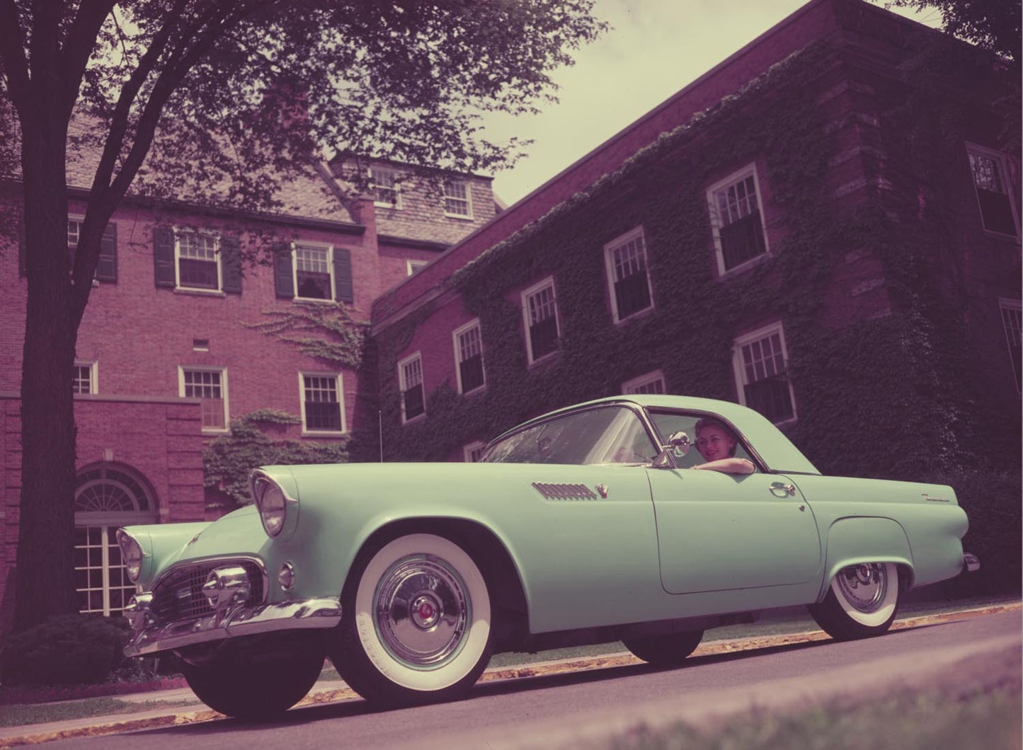 1955 Ford Thunderbird  0401-1674