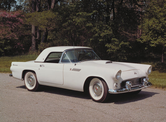 1955 Ford Thunderbird  0401-1683