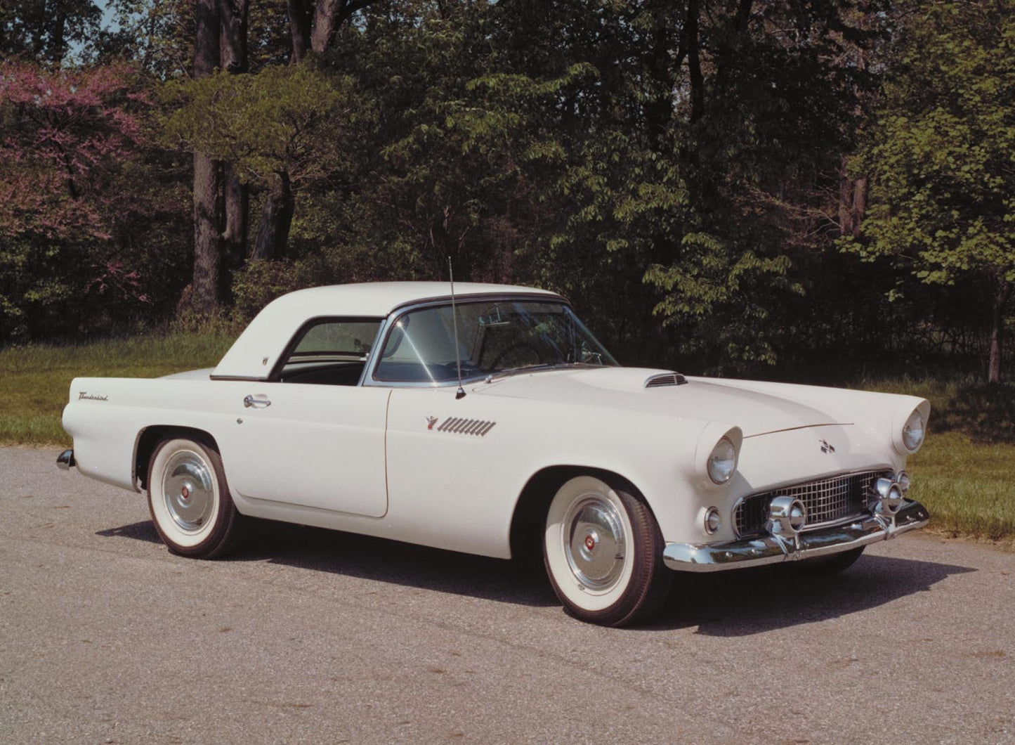1955 Ford Thunderbird  0401-1683