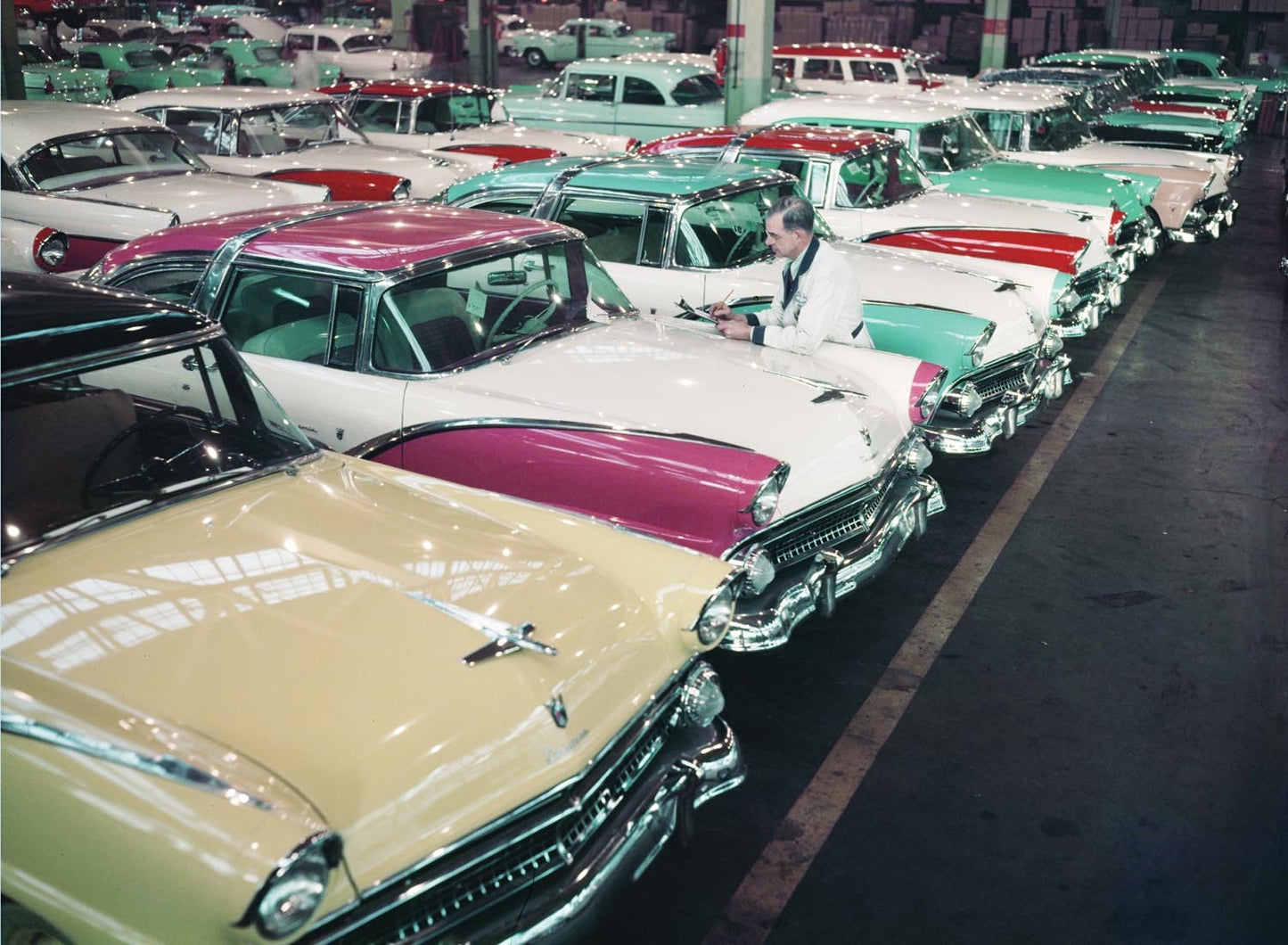 1955 Fords  0401-1695