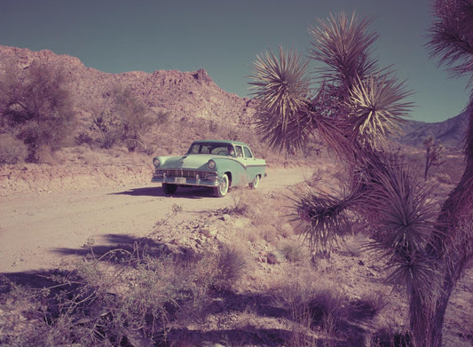 1956 Ford four door sedan  0401-1759