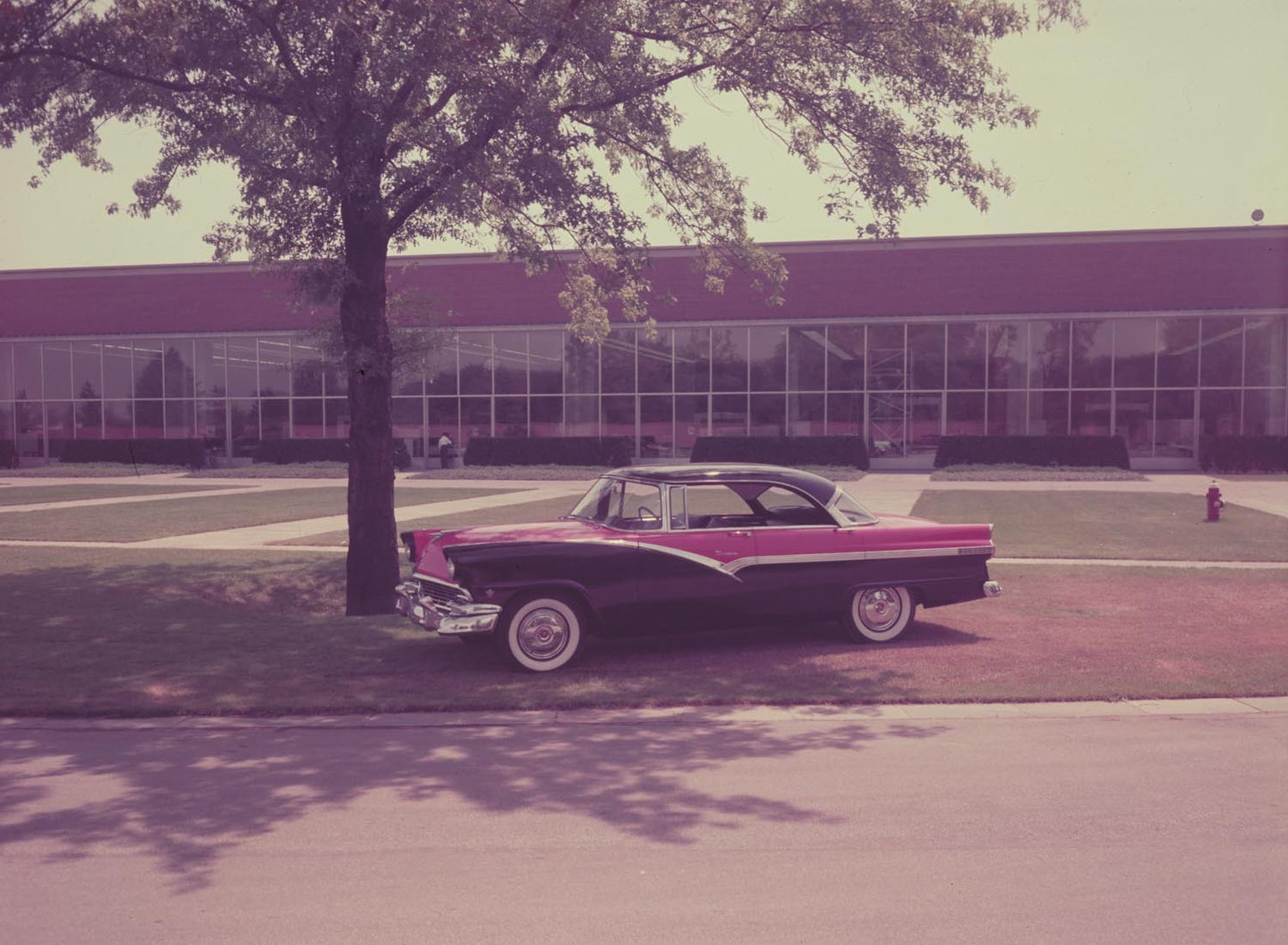 1956 Ford two door hardtop  0401-1784