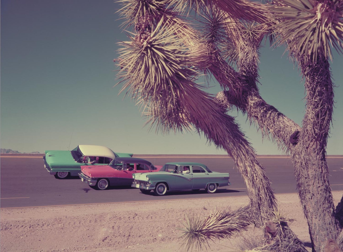 1956 Lincoln Mercury and Ford on Arizona test trac  0401-1807
