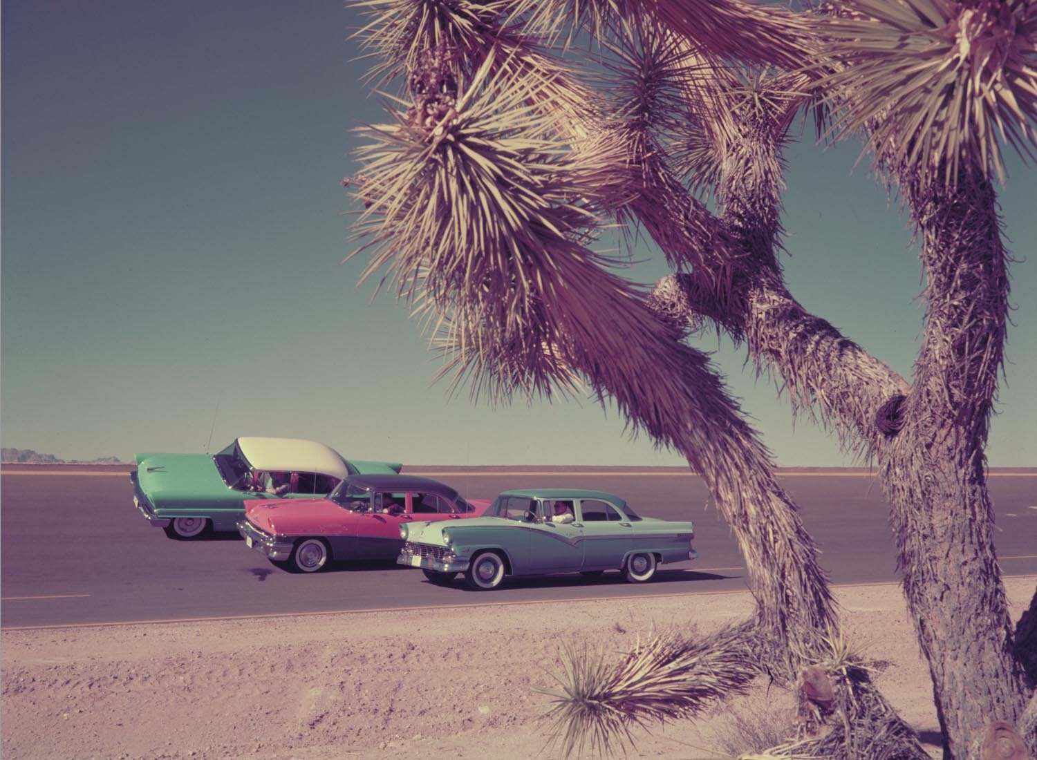1956 Lincoln Mercury and Ford on Arizona test trac  0401-1807