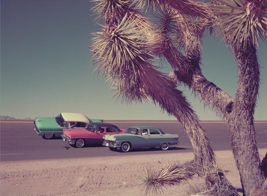 1956 Lincoln Mercury and Ford on Arizona test trac  0401-1807