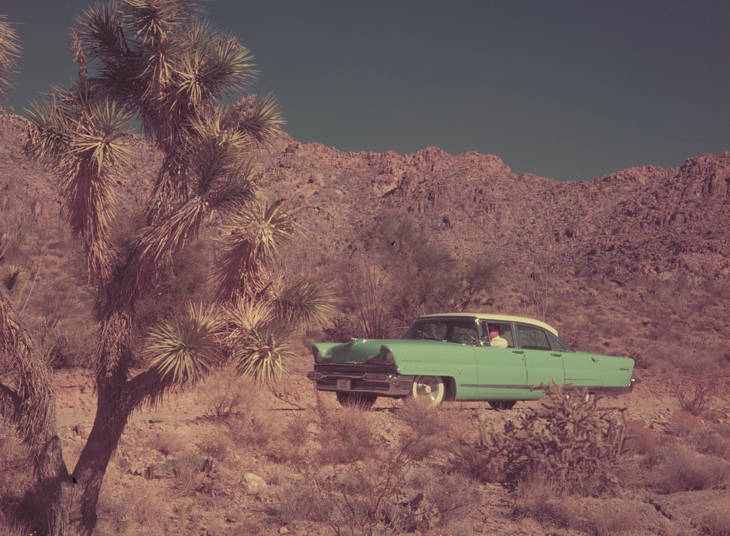 1956 Lincoln Premiere  0401-1810