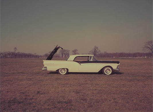 1957 Ford Skyliner 0401-1866