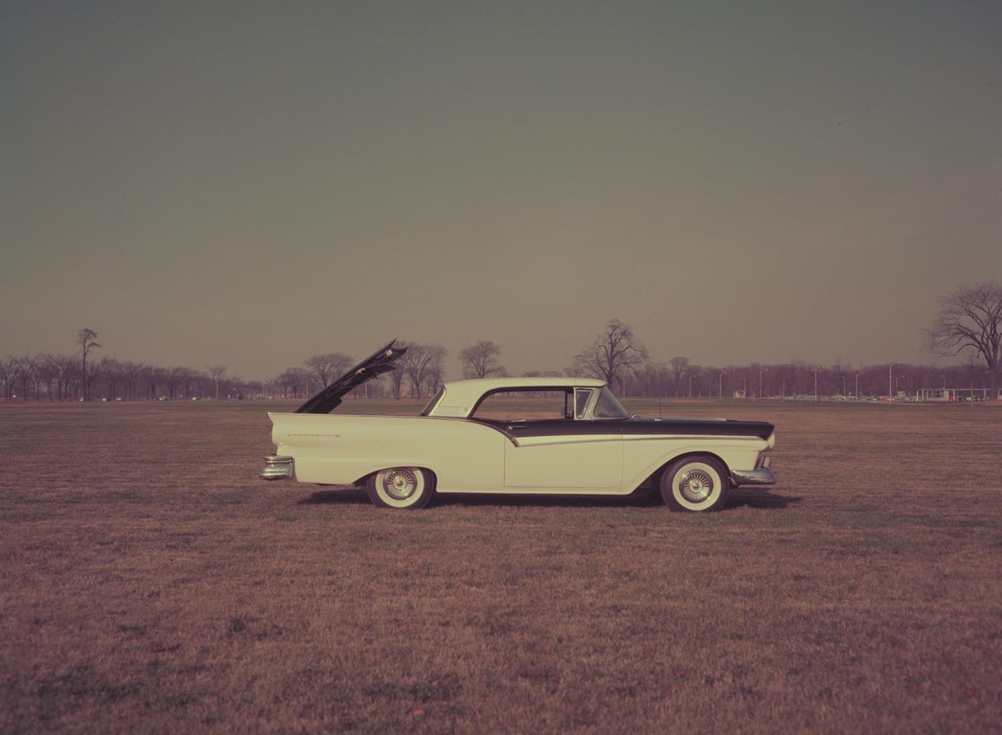 1957 Ford Skyliner 0401-1867