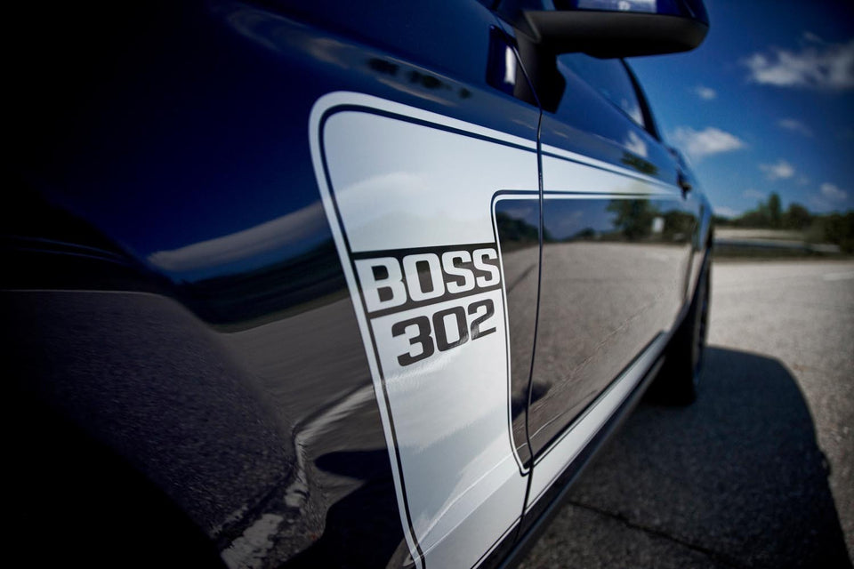 2012 Ford Mustang Boss 302 Side Stripe Detail 0401-3415