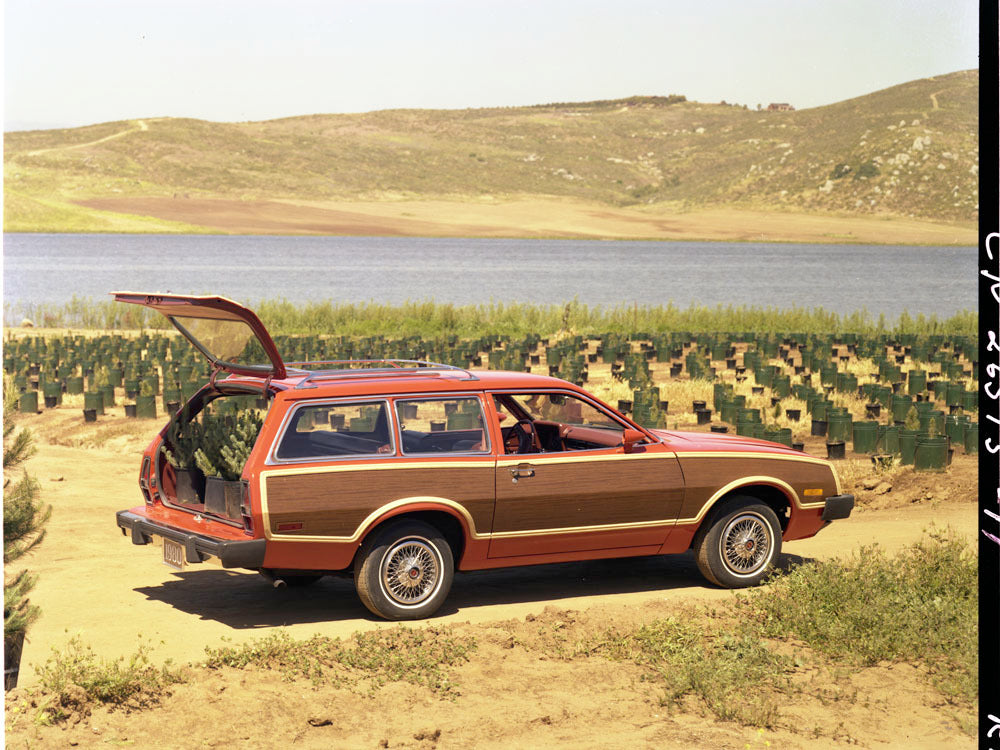 1980 Mercury Bobcat Wagon 0401-3518