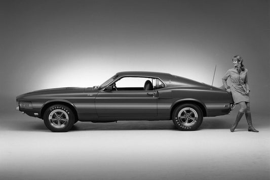 1969 Mustang Shelby GT500  0401-3658