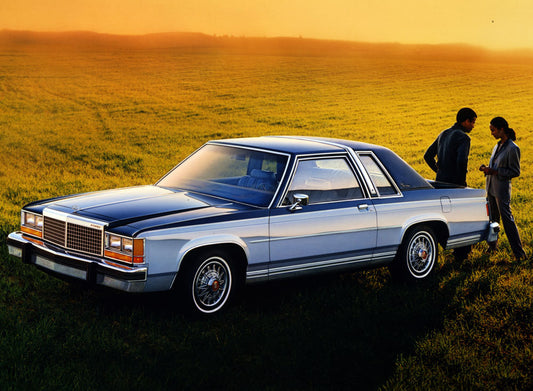 1981 Ford Crown Victoria 0401-3949