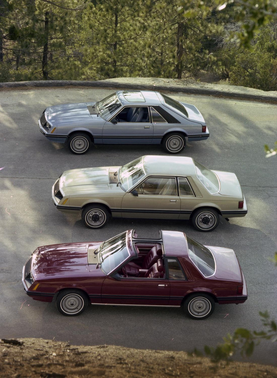 1981 Ford Mustangs  0401-3965
