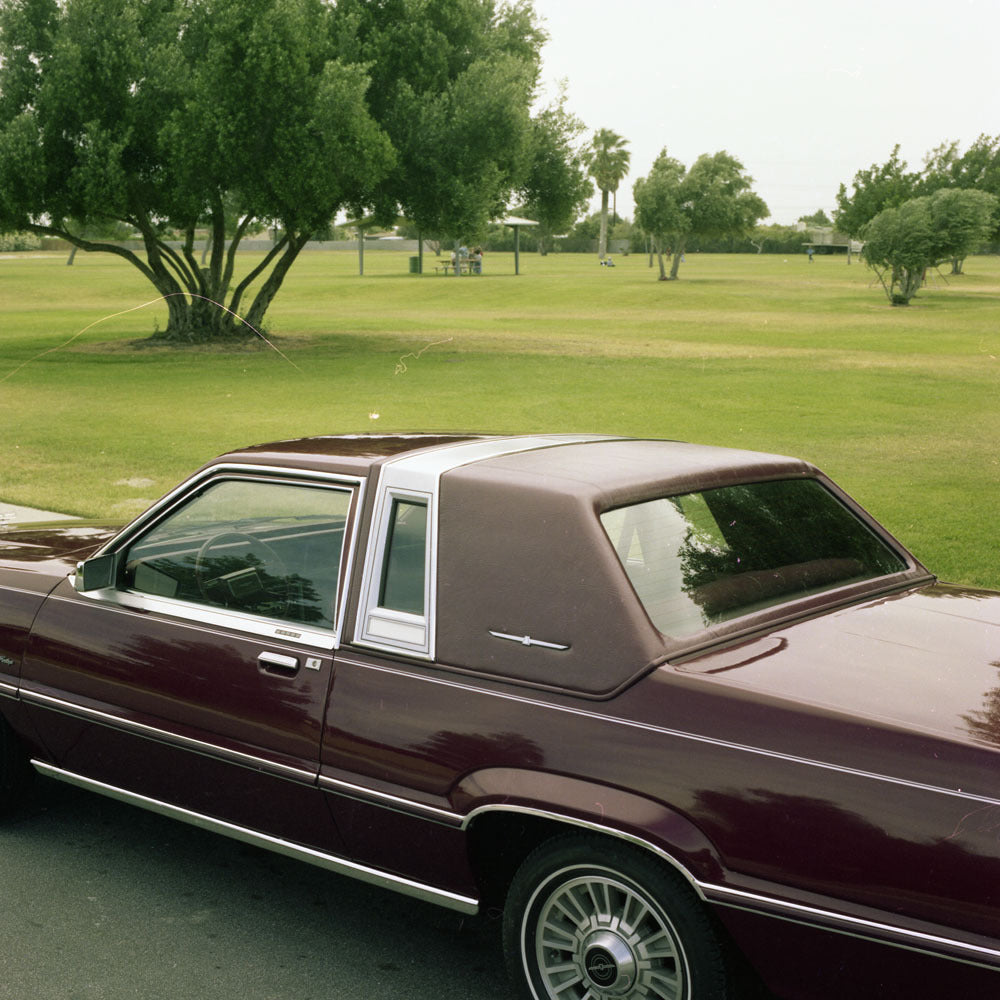 1981 Ford Thunderbird Heritage 0401-3967