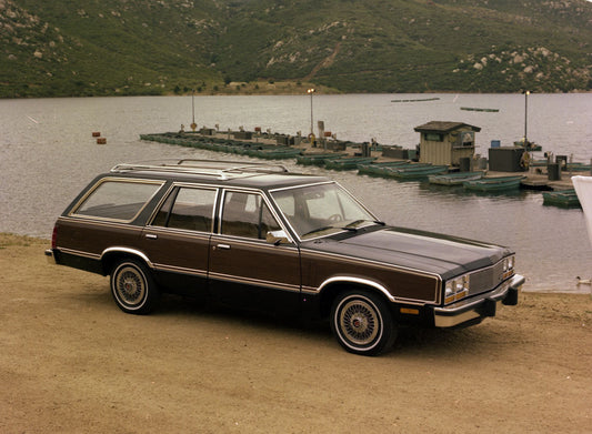 1981 Mercury Zephyr Wagon 0401-3973