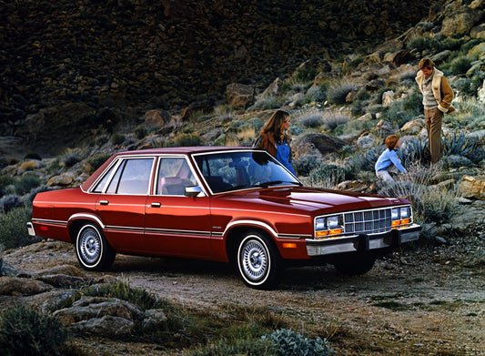 1981 Ford Fairmont Futura 0401-3978