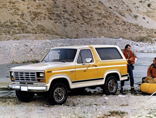 1982 Ford Bronco XLT 0401-3998