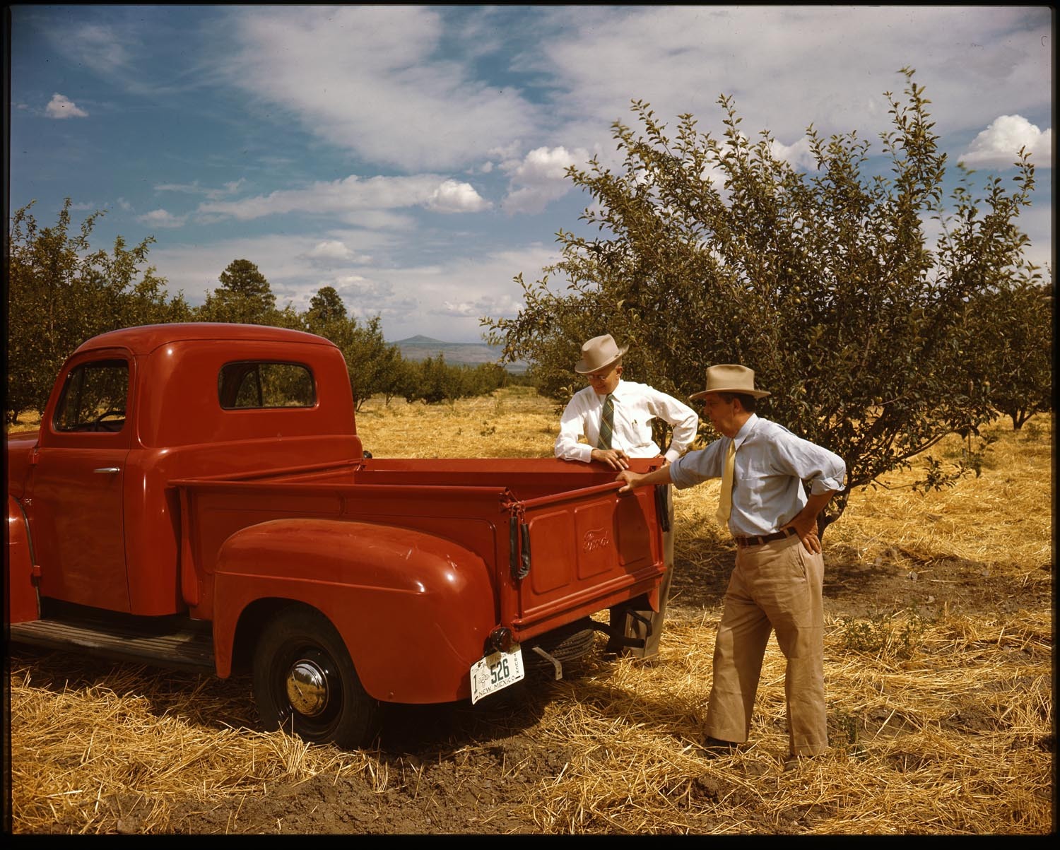 1948 Ford F 1 pickup truck 0401-5820