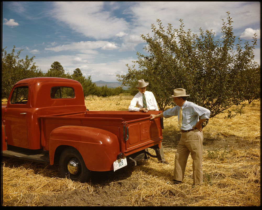 1948 Ford F 1 pickup truck 0401-5821