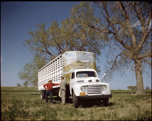 1950 Ford heavy truck 0401-5995