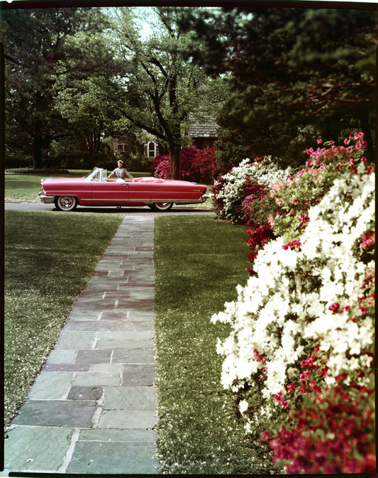 1956 Lincoln Premiere convertible 0401-6744