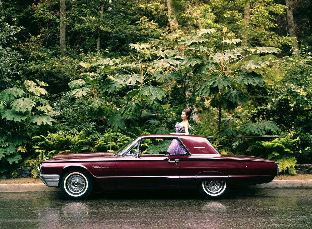 1964 Ford Thunderbird hardtop 0401-7723