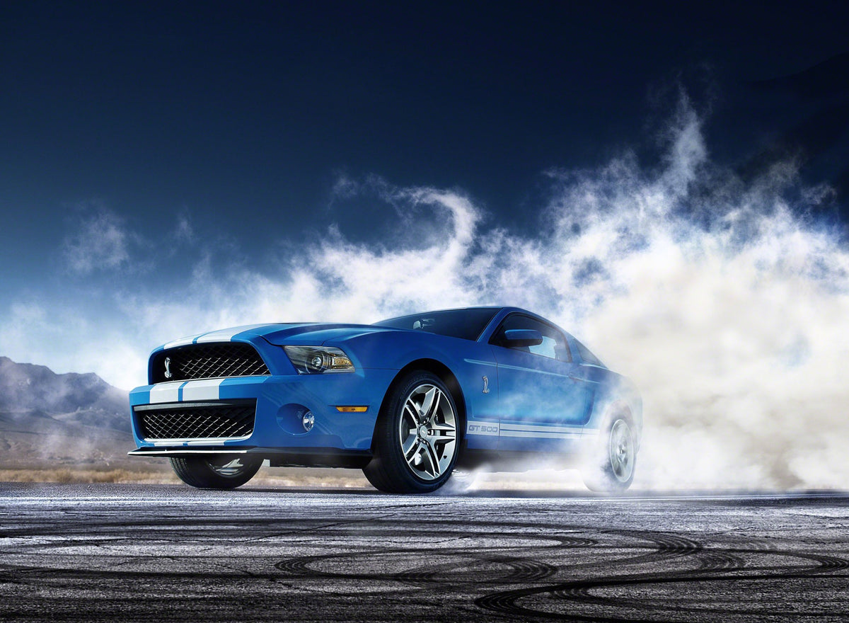 2010 Shelby GT500