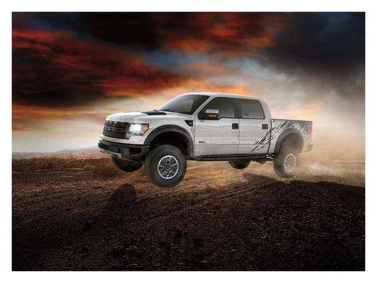 2011 Ford F-150 SuperCrew Raptor 0401-8728