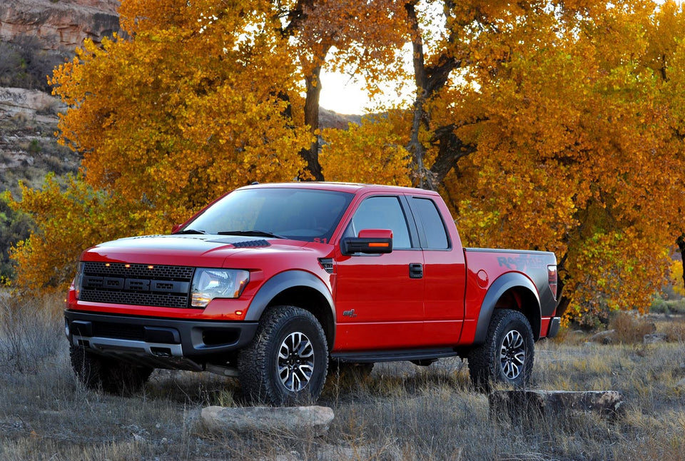 2012 F-150 Raptor  0401-9689