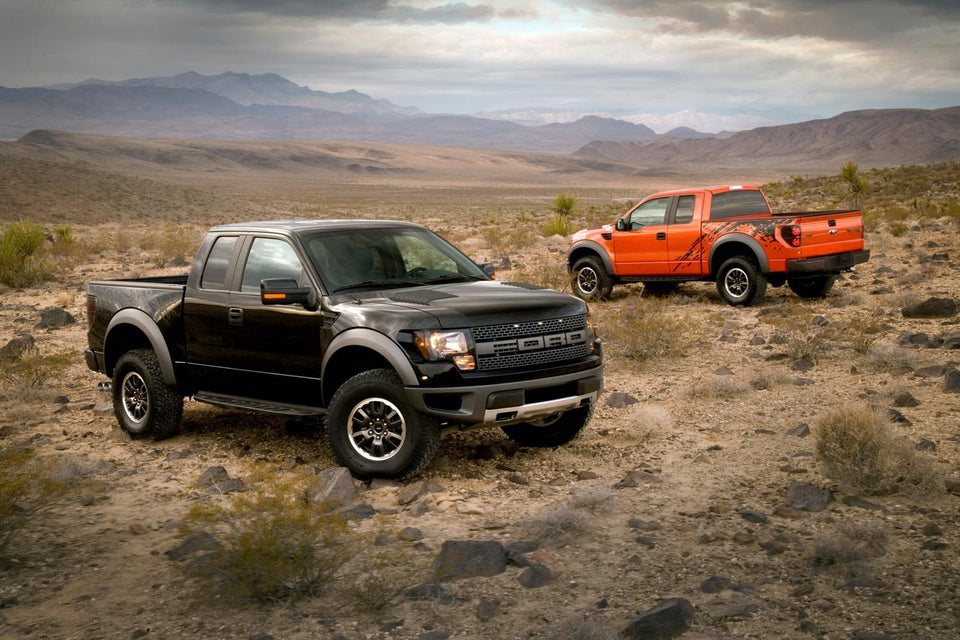 2010 F-150 Raptor  0401-9717