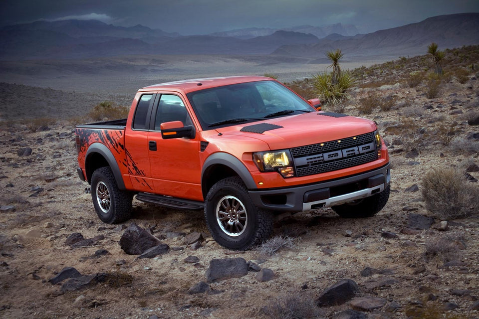 2010 F-150 Raptor  0401-9718