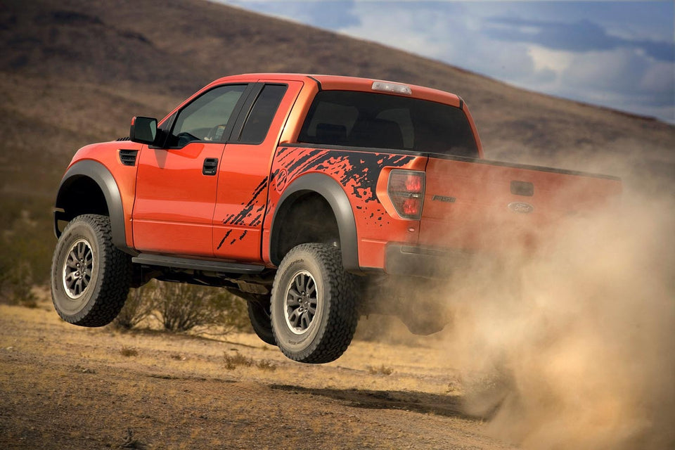 2010 F-150 Raptor  0401-9719